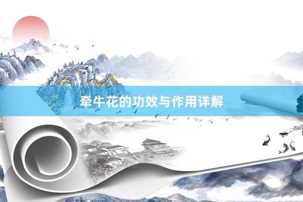 牵牛花的功效与作用详解