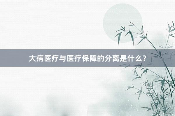 大病医疗与医疗保障的分离是什么？