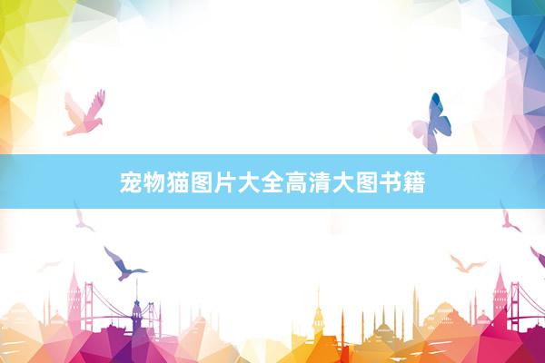 宠物猫图片大全高清大图书籍