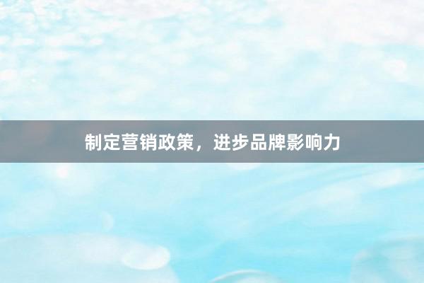 制定营销政策，进步品牌影响力